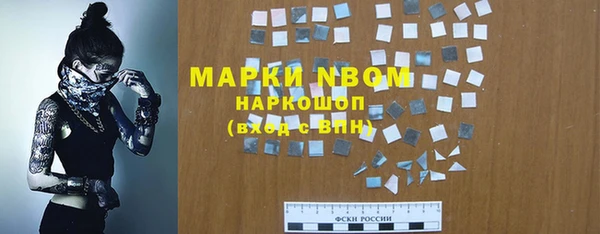 индика Вязники