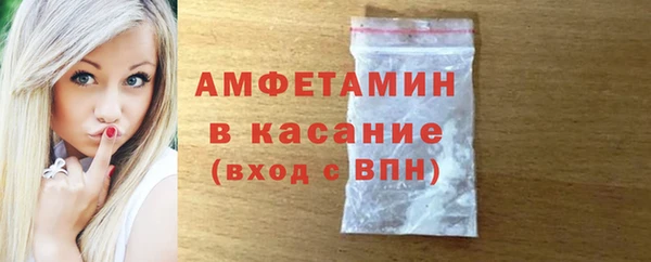 индика Вязники