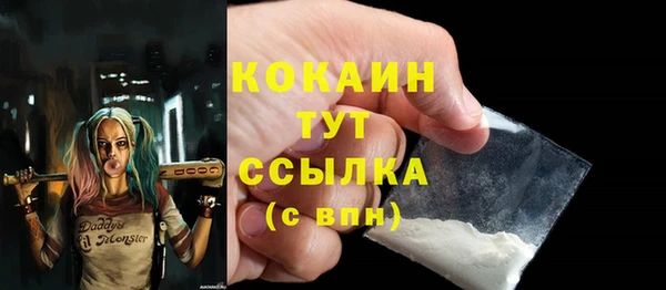 индика Вязники