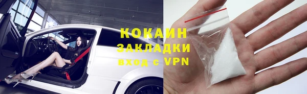индика Вязники