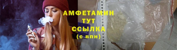 индика Вязники