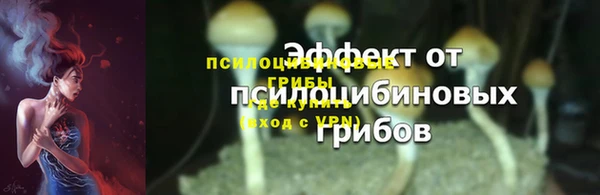 индика Вязники