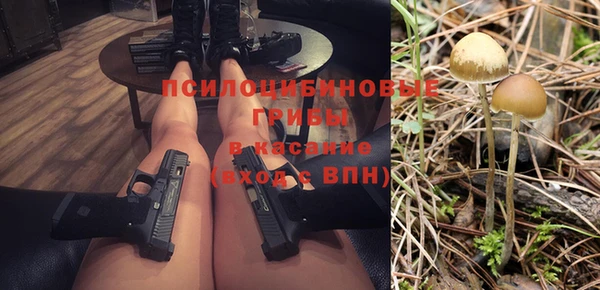 индика Вязники