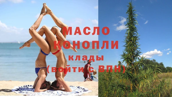 индика Вязники