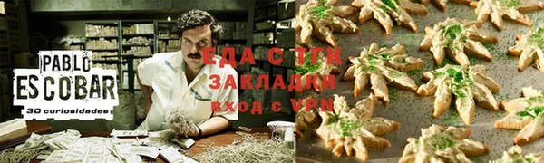 индика Вязники