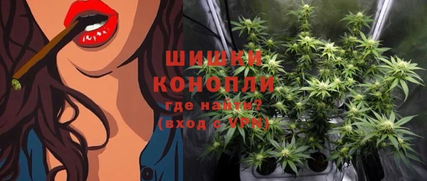 индика Вязники