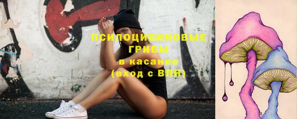 индика Вязники