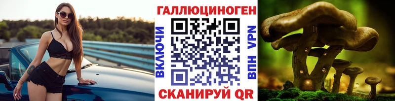 OMG tor Братск Псилоцибиновые грибы мухоморы магазин продажи